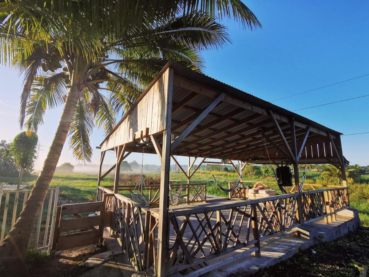 Ride In Youth And Surf Center Morne-a-l'Eau Extérieur photo